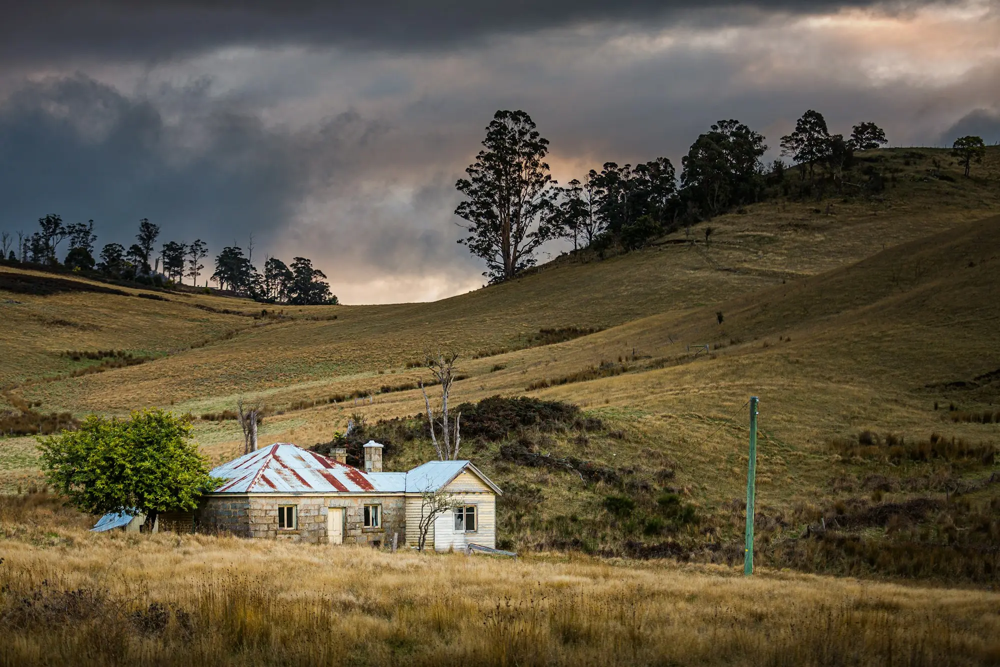 Farmhouse and shed in green rolling paddocks in Tasmania
